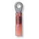 Red Heat Shrink and Solder Ring Terminal Red No. 10 Gauge 22-18