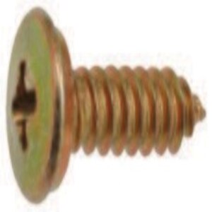 LICENSE PLATE FASTENER