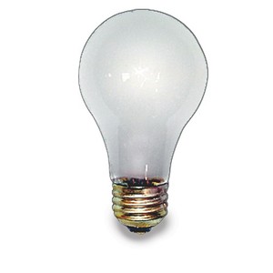 Rough Service Bulb 100 Watt