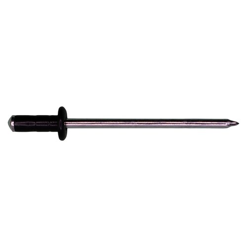 RIVET