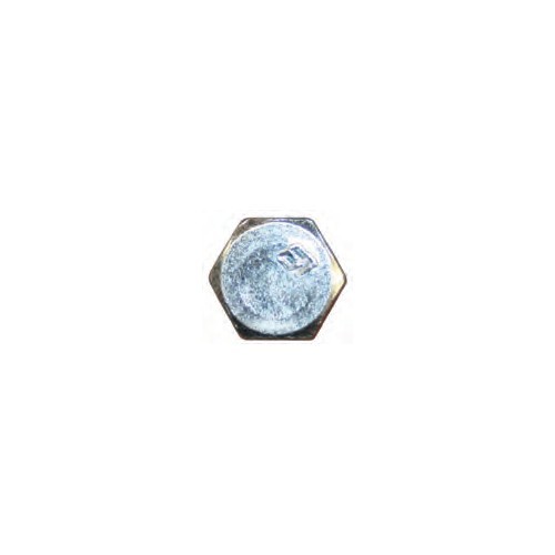 Hex Head Lag Screw Zinc 1/2X2-1/2