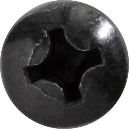 Phillips Pan Head License Plate Screw M6-1.0 X 16MM