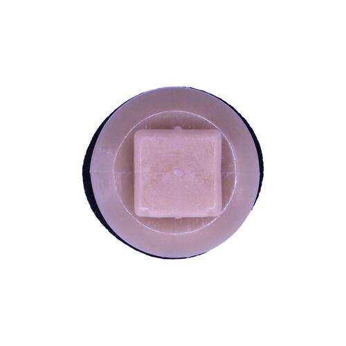 Toyota Door Moulding with Sealer