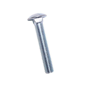 1/4 X 1 CARRIAGE BOLT 316
