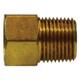 1 X 1INV.FLARE X MALE ADAPTER