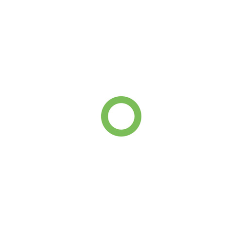 Service O-Ring