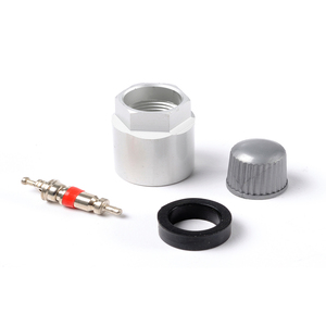 "TPMS Replacement Parts Kit For Saab, Suzuki"