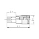 ZEBRA 1/2 Inch Torx Socket Bit - Short - TX100
