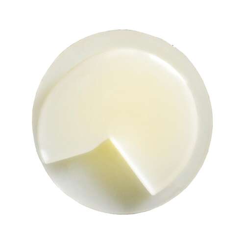 GM Door Panel Clip 82-85